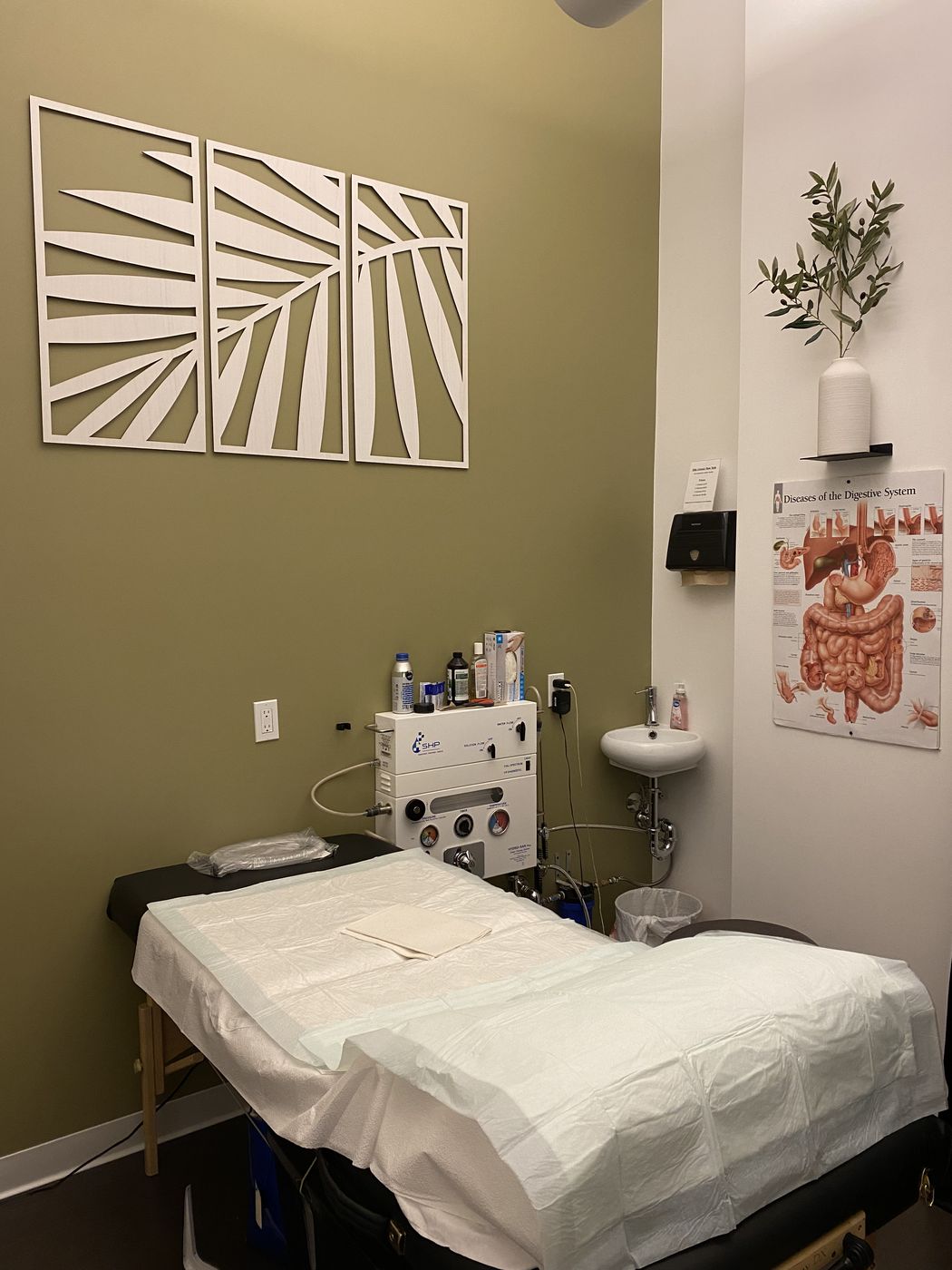 Hila Colonic New York treatment room